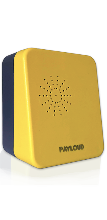Payloud Sound Box